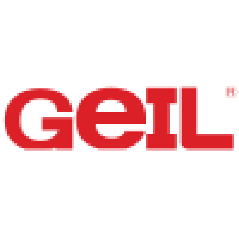logo de la marque GeIL