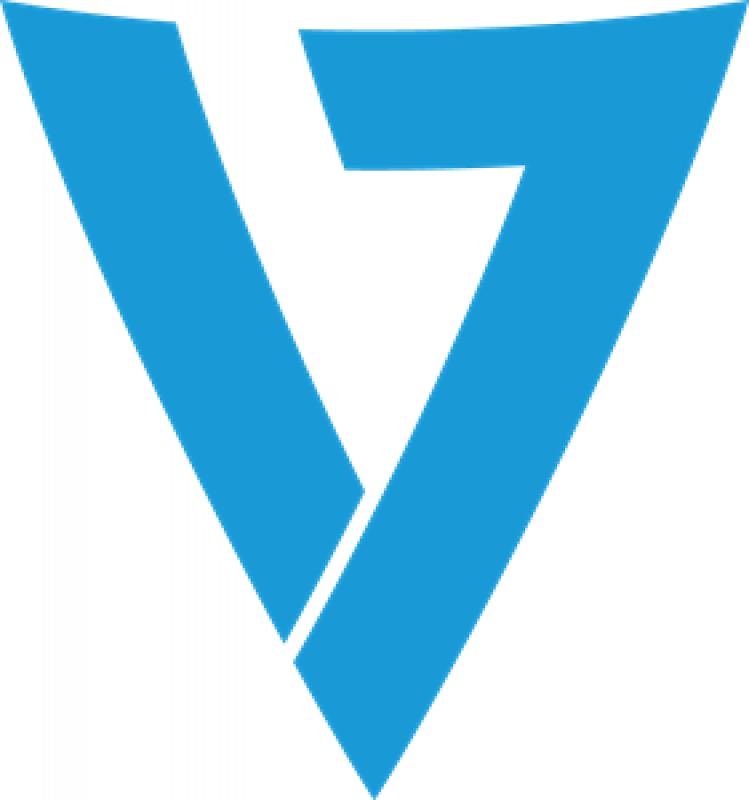 logo de la marque V7