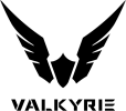 logo de la marque Valkyrie