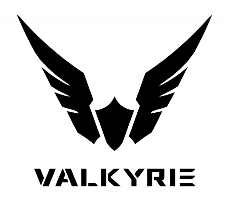 logo de la marque Valkyrie