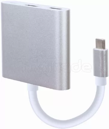 Photo de Adaptateur USB-C 3.0 CableXpert vers HDMI, USB-A/C (Argent)