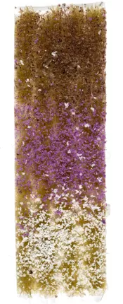 Photo de Ak Interactive - Blossom Tufts Fall