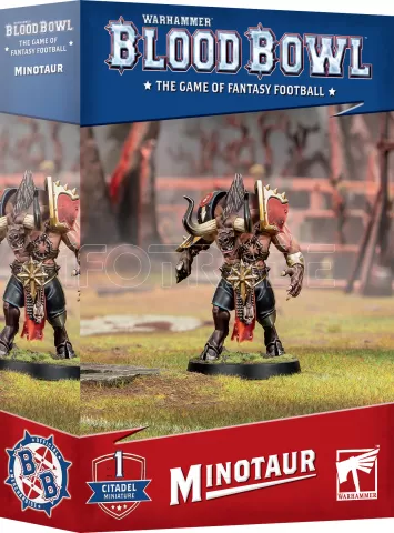Photo de Blood Bowl - Minotaur