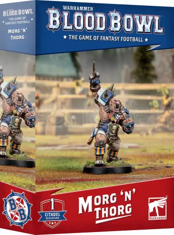 Photo de Blood Bowl - Morg 'N' Thorg