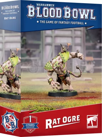 Photo de Blood Bowl - Rat Ogre