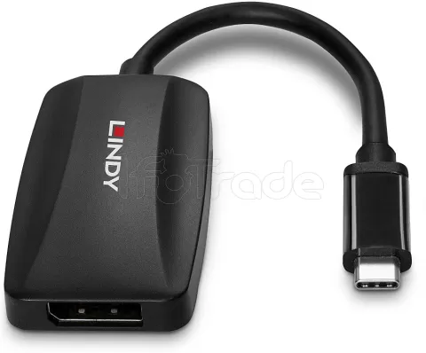 Photo de Cable adaptateur USB Type C Lindy vers DisplayPort 1.4 13cm (Noir)