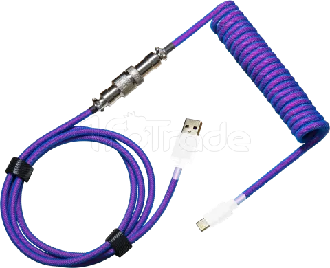 Photo de Câble de clavier Cooler Master Coiled Cable USB Type A - Type C M/M 1,5m (Bleu/Violet)