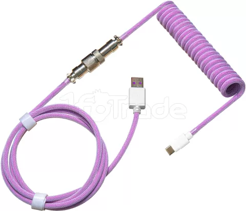 Photo de Câble de clavier Cooler Master Coiled Cable USB Type A - Type C M/M 1,5m (Violet)