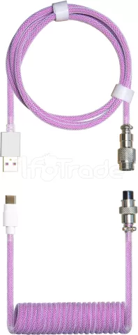 Photo de Câble de clavier Cooler Master Coiled Cable USB Type A - Type C M/M 1,5m (Violet)