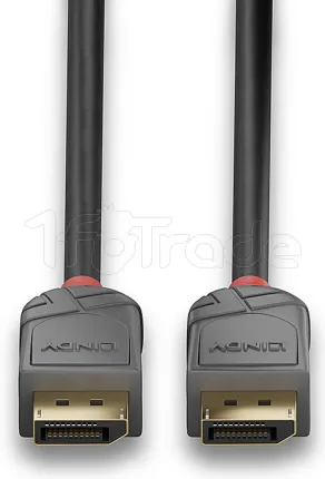 Photo de Cable DisplayPort 1.4 Lindy 1m (Noir/Gris)