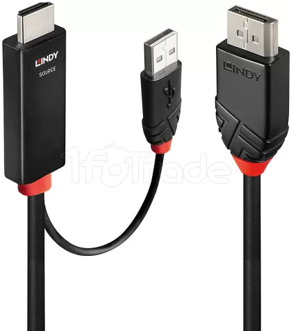 Photo de Câble HDMI Lindy vers DisplayPort 1m M/M (Noir)