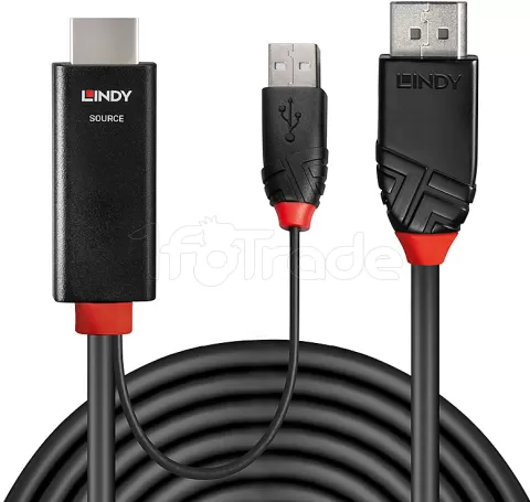 Photo de Câble HDMI Lindy vers DisplayPort 1m M/M (Noir)