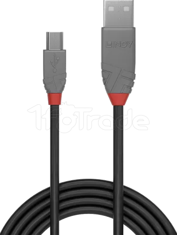 Photo de Cable Lindy USB 2.0 type A - Mini B M/M 2m (Gris)