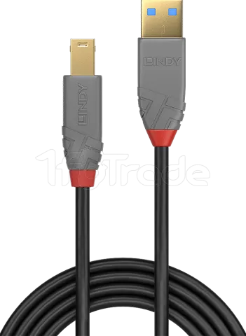 Photo de Cable Lindy USB 3.0 type A - B M/M 5m (Gris)