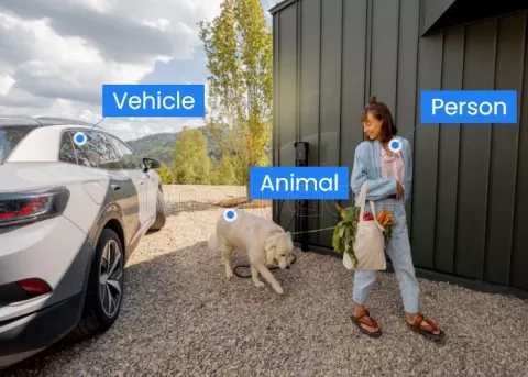 Photo de Caméra IP extérieur Reolink Go Series G430 avec panneau solaire