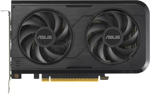 Photo de Carte Graphique Asus GeForce RTX 5050 Dual OC