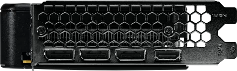 Photo de Carte Graphique Palit GeForce RTX 5050 Dual