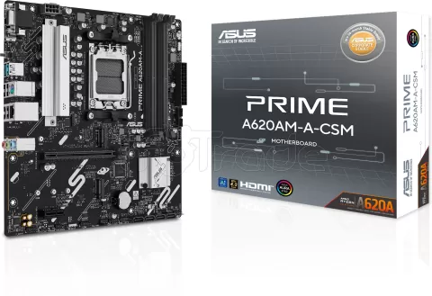 Photo de Carte Mère Asus Prime A620AM-A-CSM (AMD AM5) Micro ATX