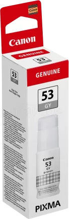 Photo de Cartouche d'encre Canon GI-53 (Gris)