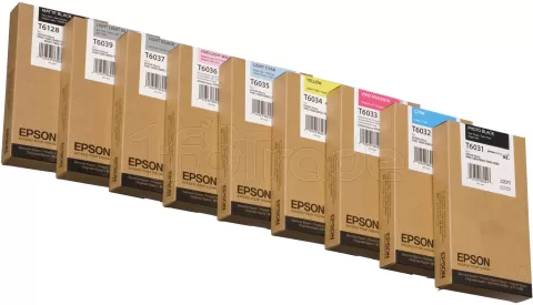 Photo de Cartouche d'encre Epson T603700 (Gris)