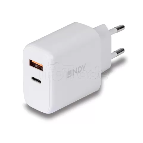 Photo de Chargeur secteur Lindy 1xUSB A & 1x USB C 30W (Noir)