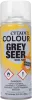 Photo de Peintures Citadel GW Games Workshop Contrast Grey Seer