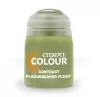 Photo de Peintures Citadel GW Games Workshop Plaguebearer Flesh