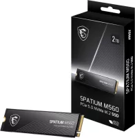 Photo de MSI Spatium M560 2To