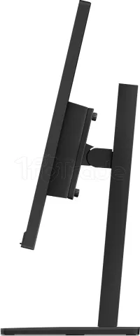 Photo de Ecran 24" Lenovo ThinkVision E24-40 Full HD 100Hz (Noir)