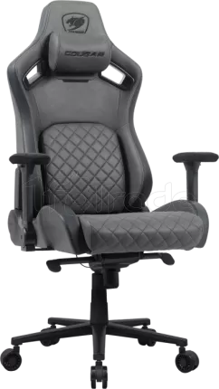 Photo de Fauteuil Cougar Defensor (gris)