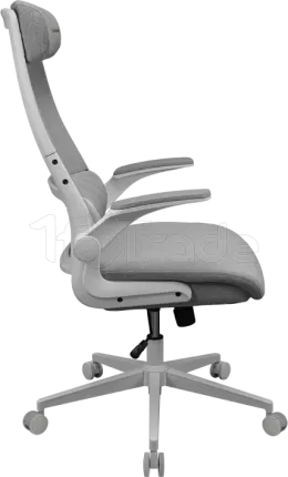 Photo de Fauteuil ergonomique Cougar Stryder (Blanc)