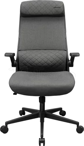 Photo de Fauteuil ergonomique Cougar Stryder (Gris)