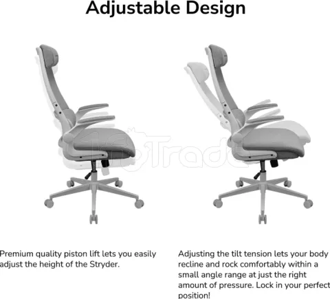 Photo de Fauteuil ergonomique Cougar Stryder (Noir)