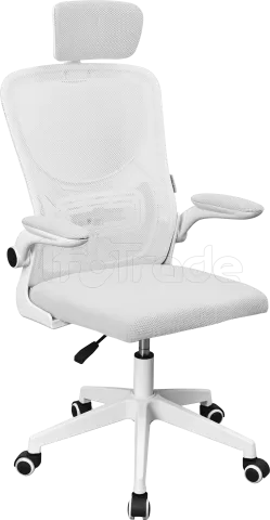 Photo de Fauteuil ergonomique Mars Gaming MGC-Ergo Plus (Blanc)