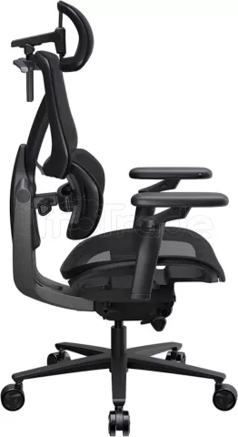 Photo de Fauteuil ergonomique ThunderX3 Flex Pro Mesh (Noir)