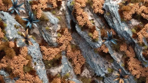 Photo de Gamers Grass - Autumn Shrubs