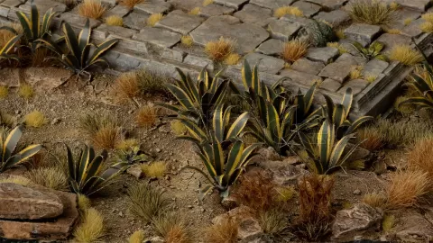 Photo de Gamers Grass - Laser Plants : Agave