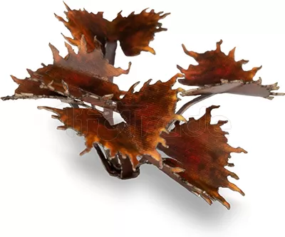 Photo de Gamers Grass - Laser Plants : Alien Flytrap