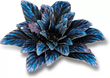 Photo de Gamers Grass - Laser Plants : Alien Rosette