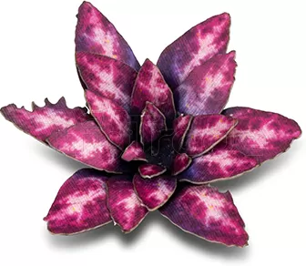 Photo de Gamers Grass - Laser Plants : Alien Rosette