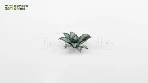 Photo de Gamers Grass - Laser Plants : Blue Agave