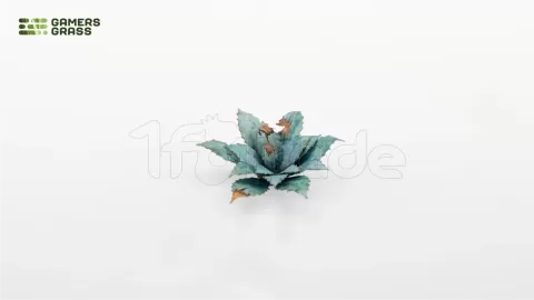 Photo de Gamers Grass - Laser Plants : Blue Agave