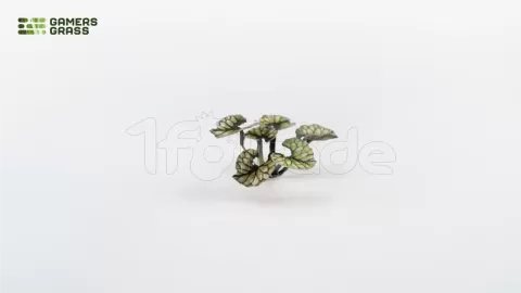 Photo de Gamers Grass - Laser Plants : Bugloss
