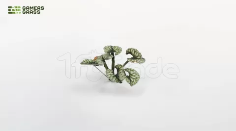Photo de Gamers Grass - Laser Plants : Bugloss