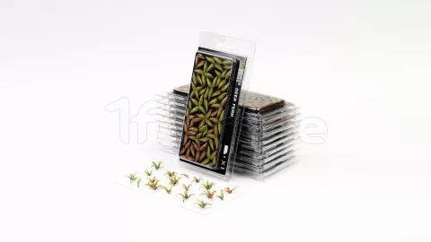 Photo de Gamers Grass - Laser Plants : Deer Fern