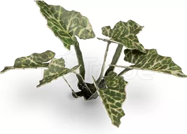 Photo de Gamers Grass - Laser Plants : Lords and Ladies