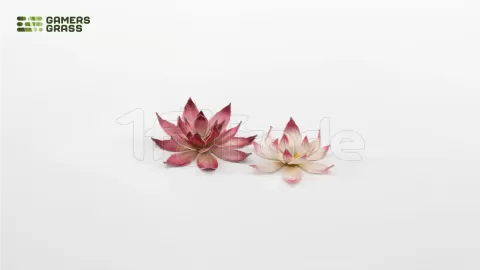 Photo de Gamers Grass - Laser Plants : Lotus Flower