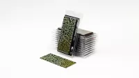 Photo de Gamers Grass - Laser Plants : Plantain Lily