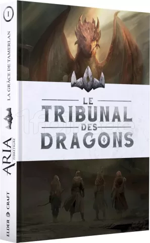 Photo de Jeu de Rôle : Aria - Livre Le Tribunal des Dragons (Collector)