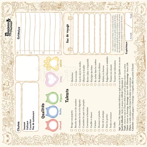 Photo de Jeu de Rôle : Donjons & Chatons